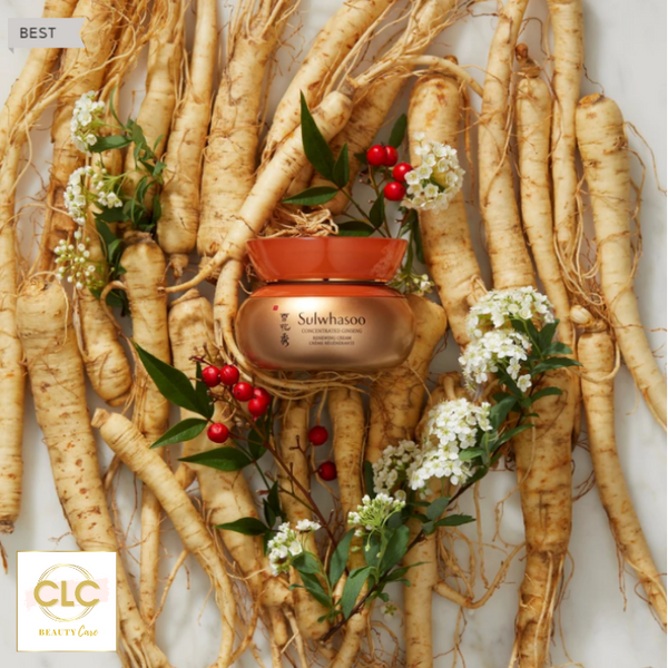Kem dưỡng nhân sâm chống lão hóa Sulwhasoo Concentrated Ginseng Renewing Cream EX 10ml